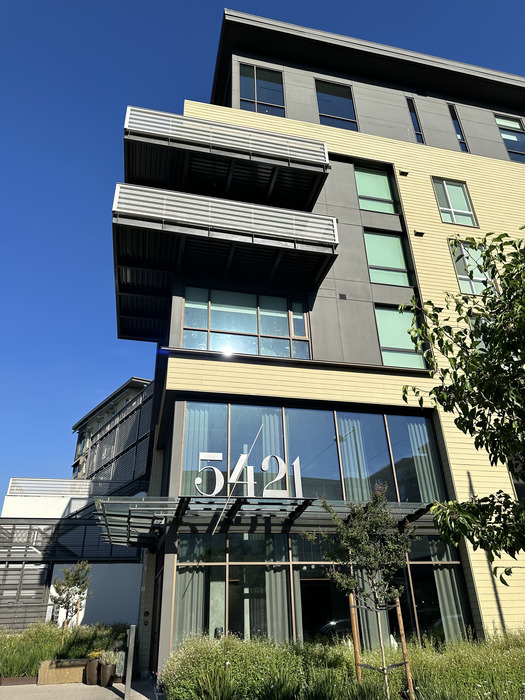 Project Image 13